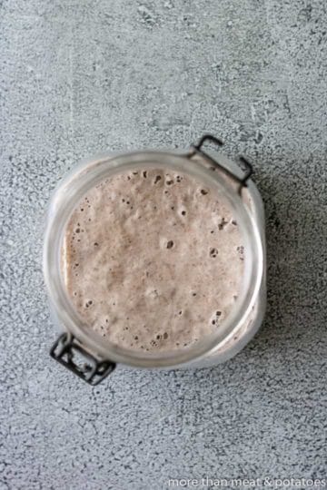 Top down view of bubbly sourdough starter.