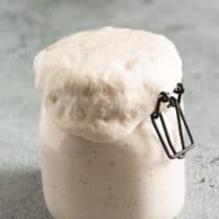 Jar of overflowing sourdough starter.