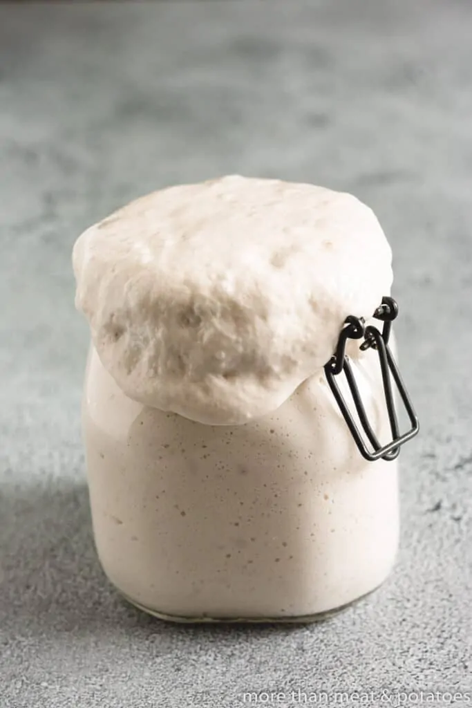 Jar of overflowing sourdough starter.