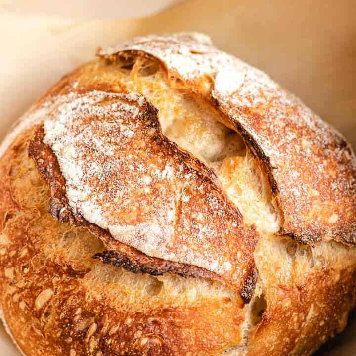 Rustic Sourdough Bread Recipe Baked sourdough bread on parchment in a Dutch oven.