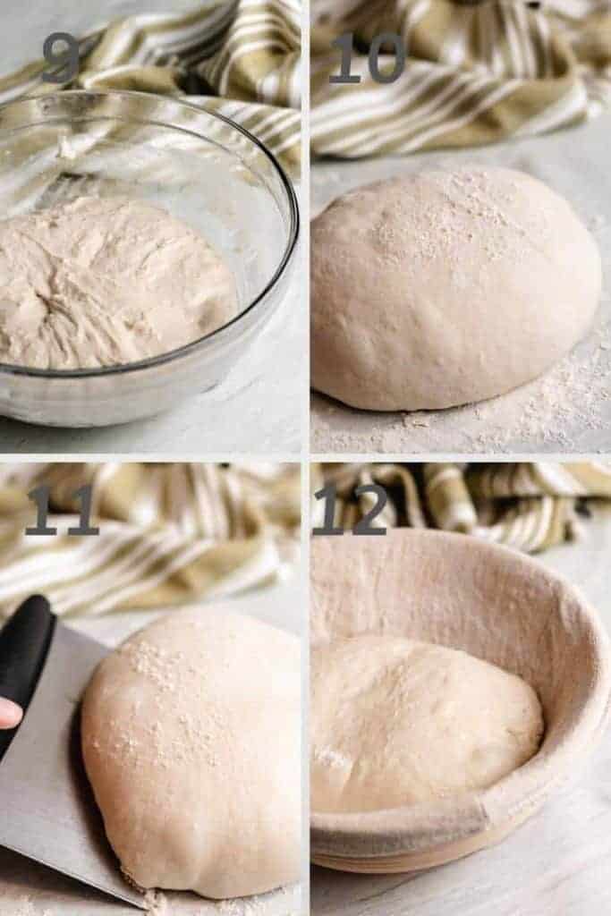 Four photos in a collage showing the process of shaping sourdough dough before it's baked.