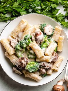 Plate of rigatoni pasta tossed with broccoli and mushrooms.