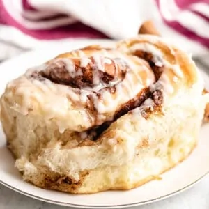 A close-up photo of a sourdough cinnamon roll.