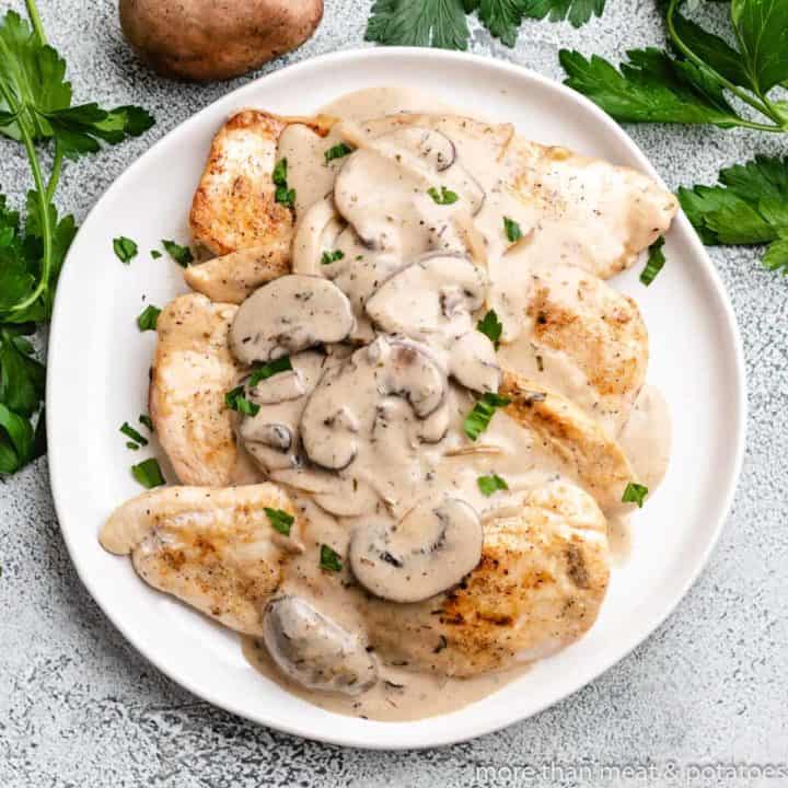 An aerial view of the creamy mushroom chicken.
