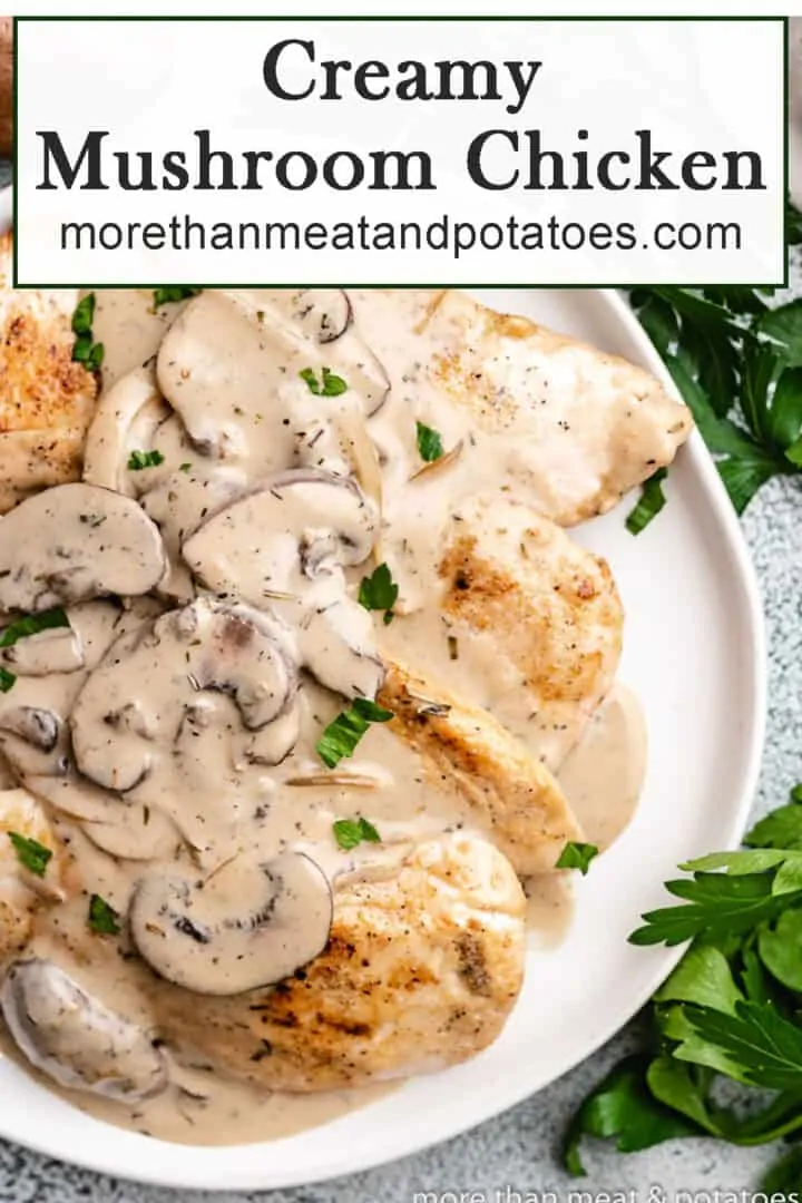 Close-up view of the savory creamy mushroom chicken.