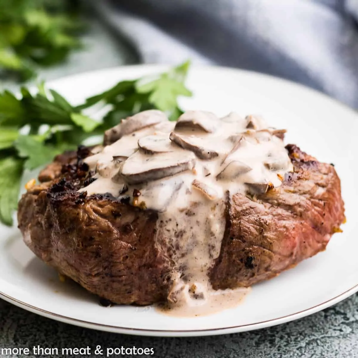 The creamy mushroom sauce poured over a steak.