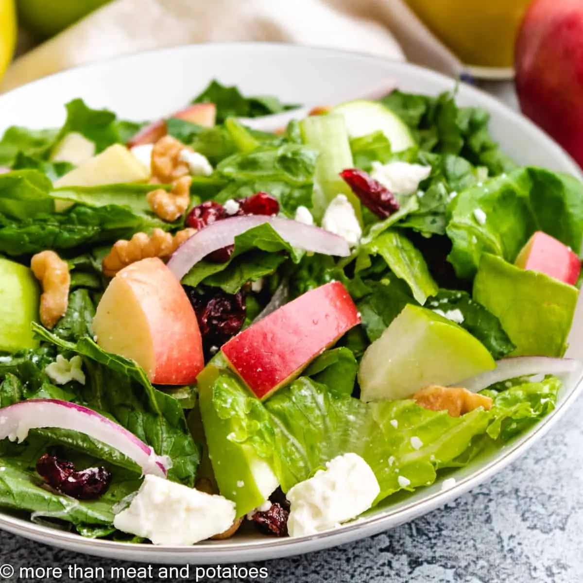 The apple cranberry walnut salad in a bowl.