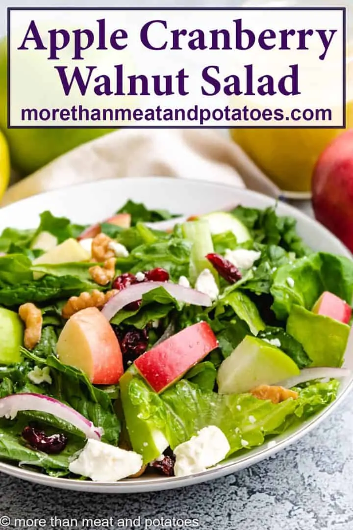 A serving of the apple cranberry walnut salad in a bowl.