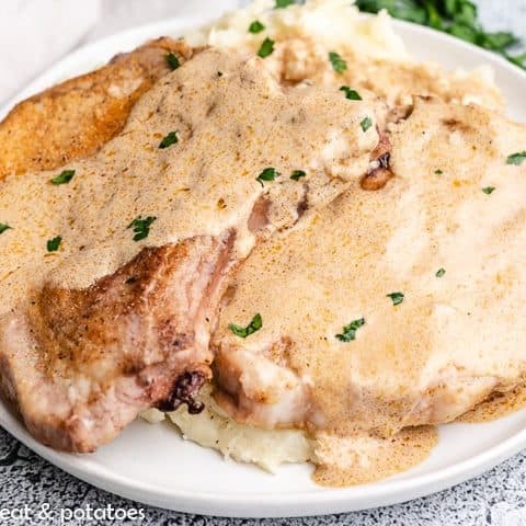 The sour cream pork chops served with mashed potatoes.