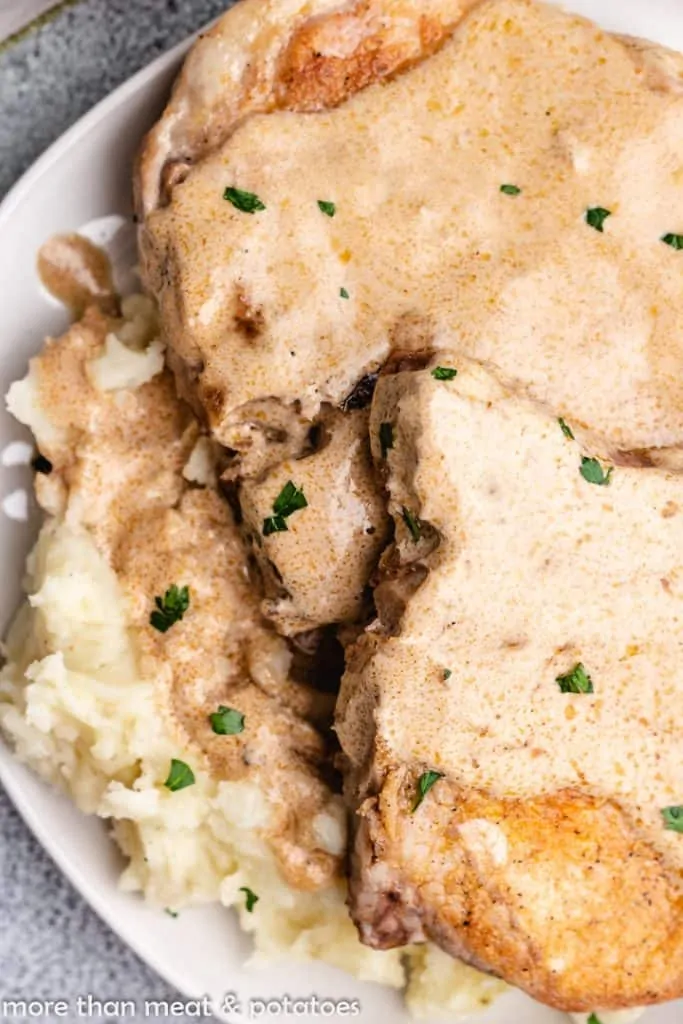 Two cuts of pork on a plate with gravy.