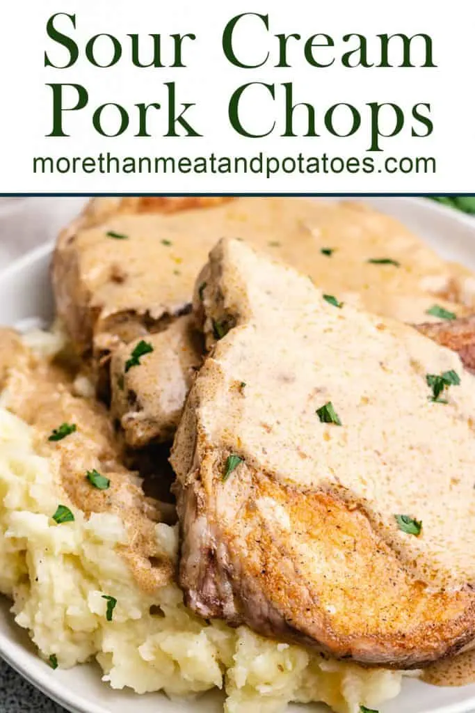 Sour cream pork chops and potatoes covered in gravy.