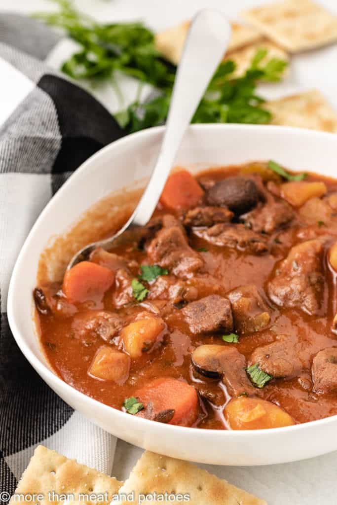 A metal spoon dipped into a bowl of stew.