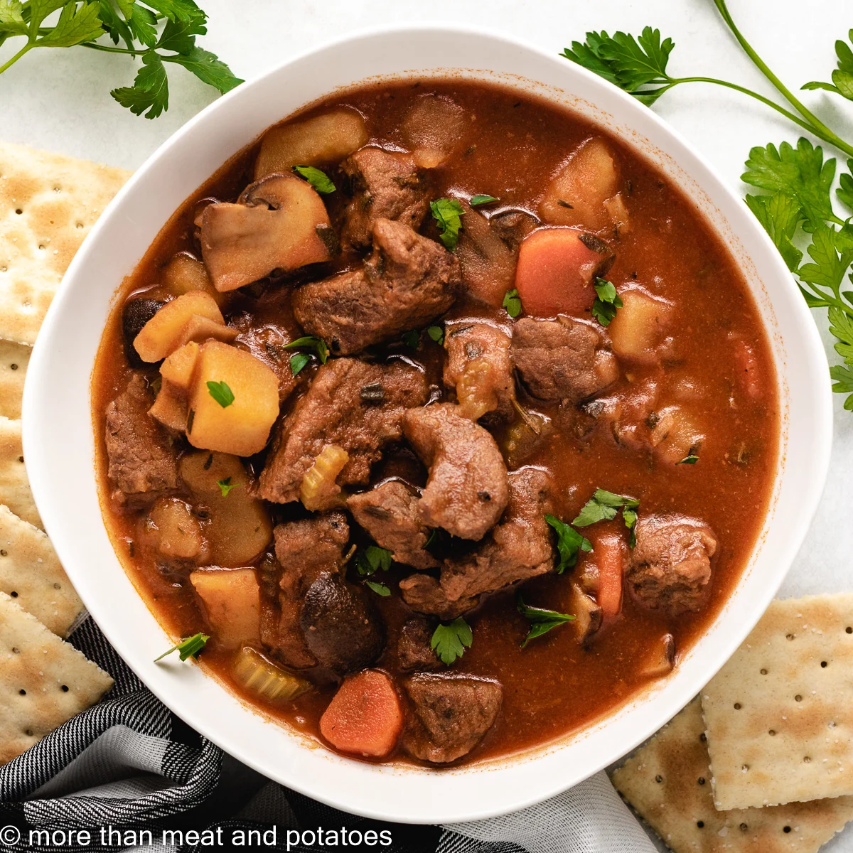 An aerial view of the stove-top beef stew with crackers.