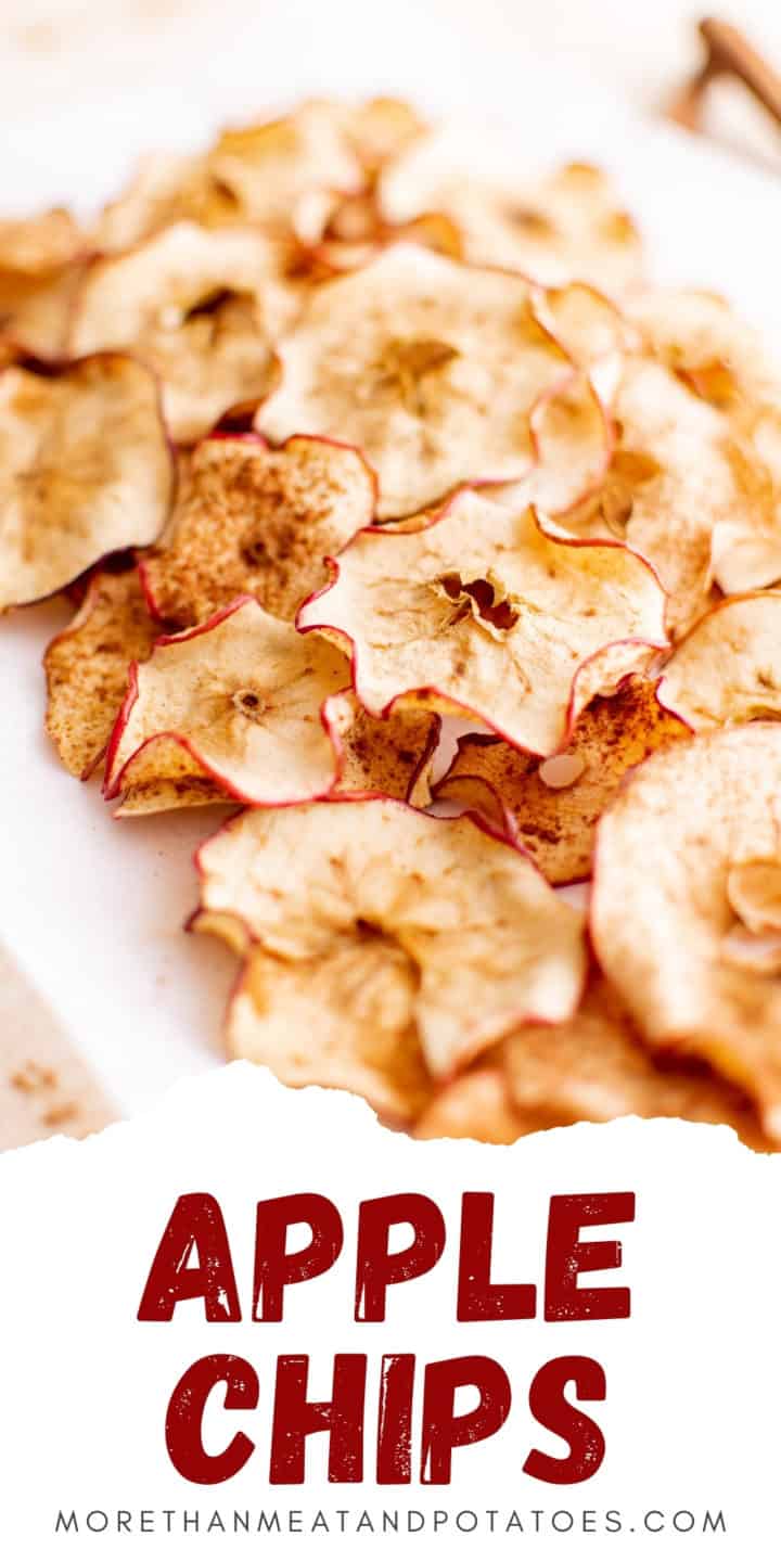 Dehydrated apple chips on a plate.
