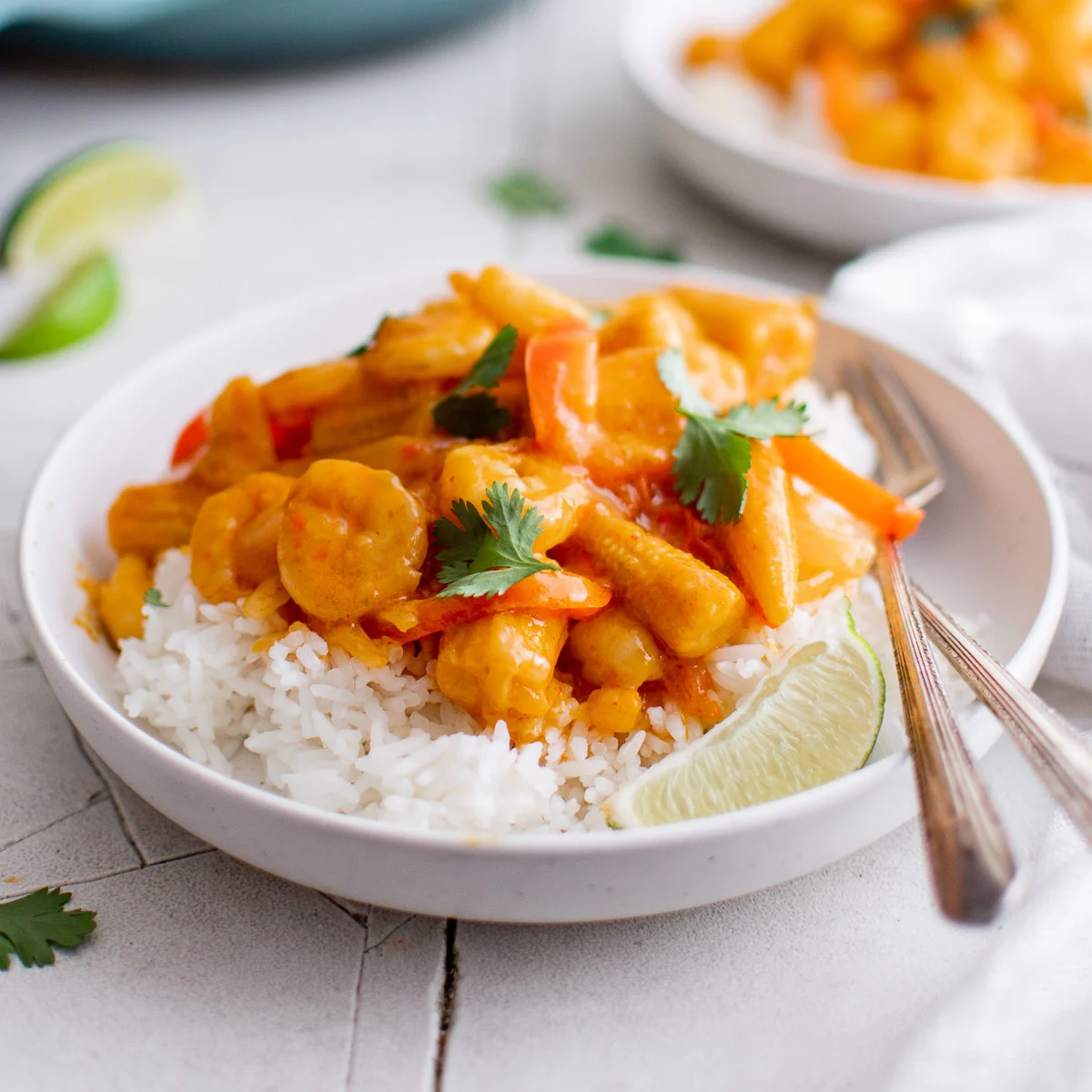 Rice and curry on a plate.