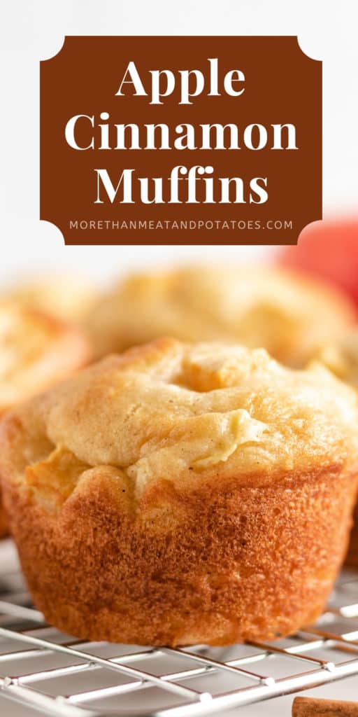 Close up view of an apple cinnamon muffin.