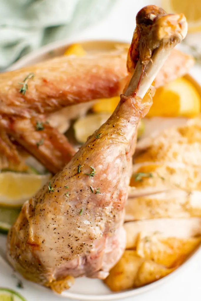 Close up of citrus turkey on a plate.