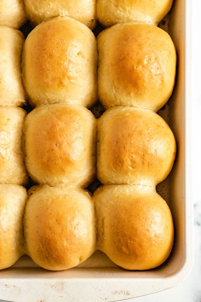 Top down view of buttered dinner rolls in a pan.