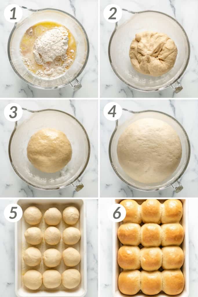 Collage showing how to make dinner rolls.