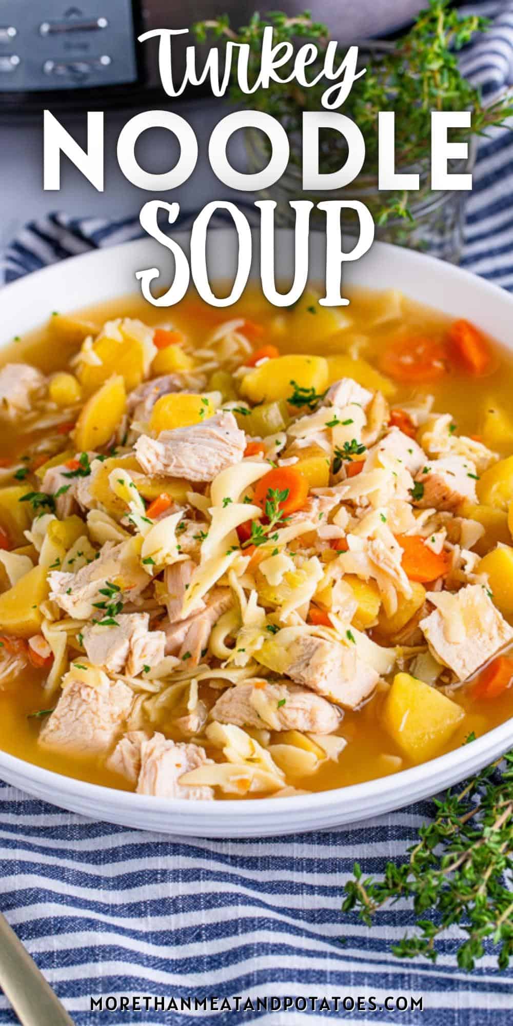 Turkey Noodle Soup