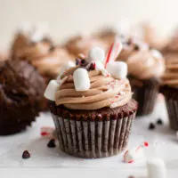 Several hot chocolate cupcakes with candy pieces.