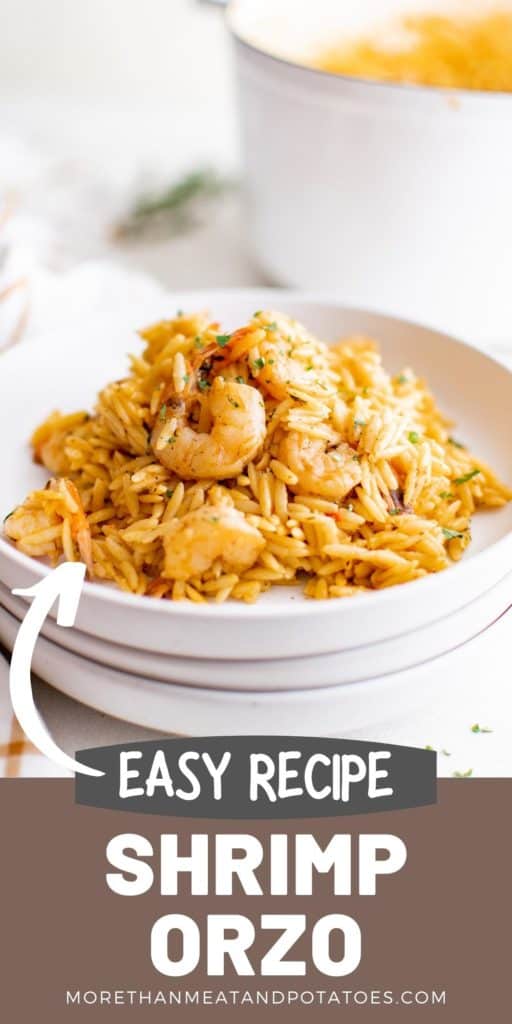 White bowl filled with shrimp orzo.