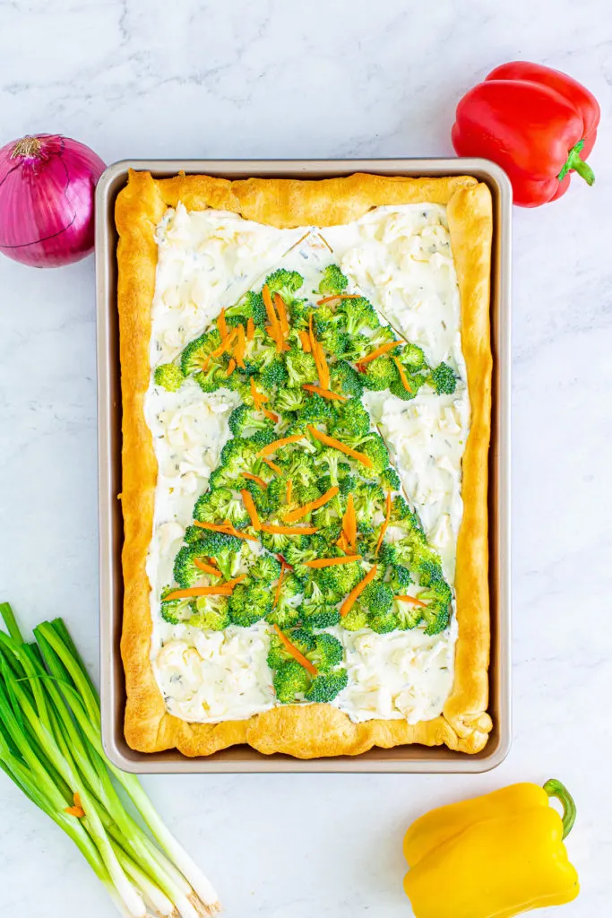 Top down view of broccoli in the shape of a christmas tree.