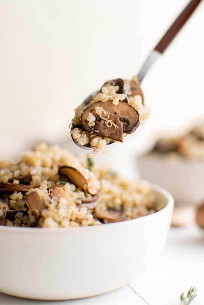 Mushroom quinoa on a spoon.