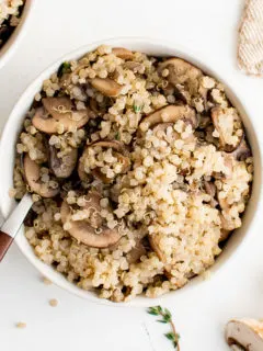 Close up view of a spoon in a bowl of mushroom quinoa.