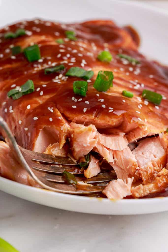 Teriyaki salmon with glaze and green onions.