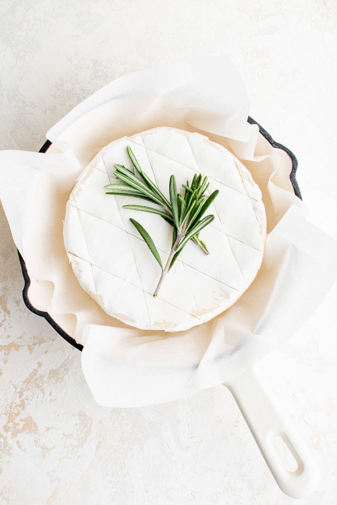 Top down view of fresh rosemary on brie cheese.