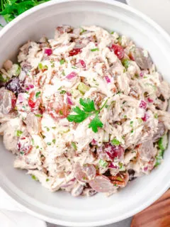 Close up view of chicken salad in a white dish.
