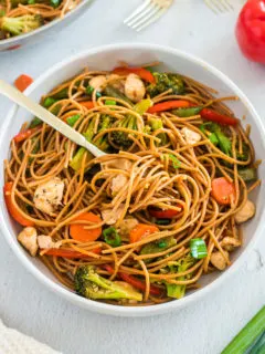 Top down view of chicken stir fry.