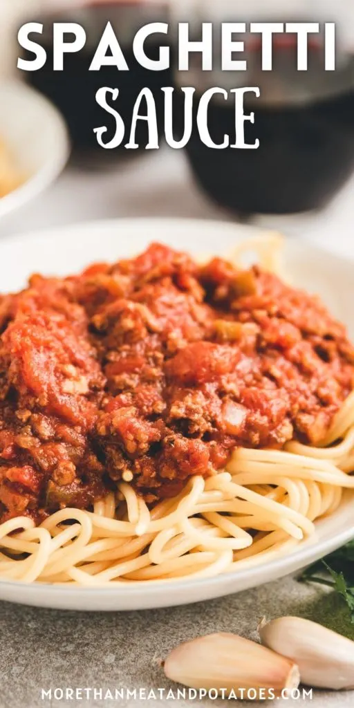 Close up view of spaghetti sauce with beef broth.