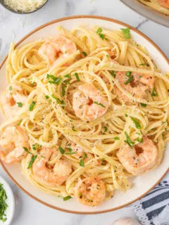 Shrimp and pasta on a dish.