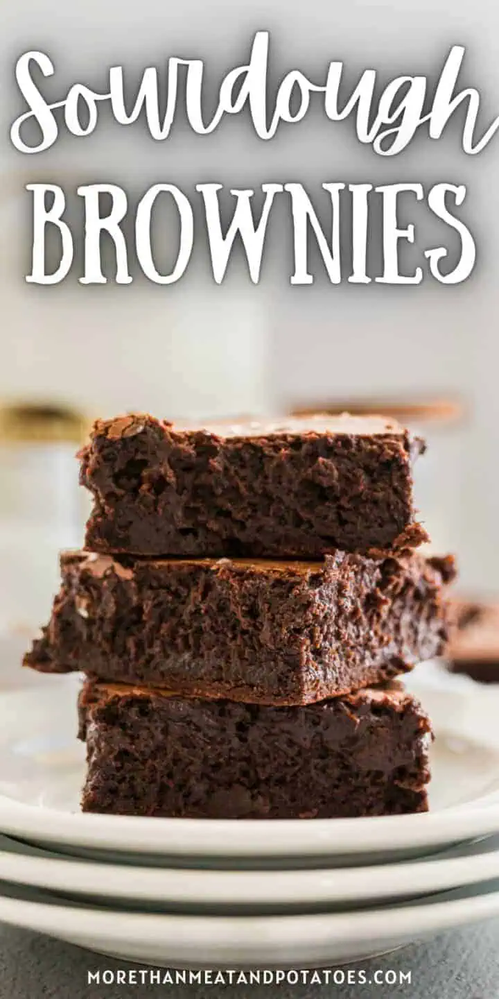 Close up view of a stack of sourdough brownies on a plate.