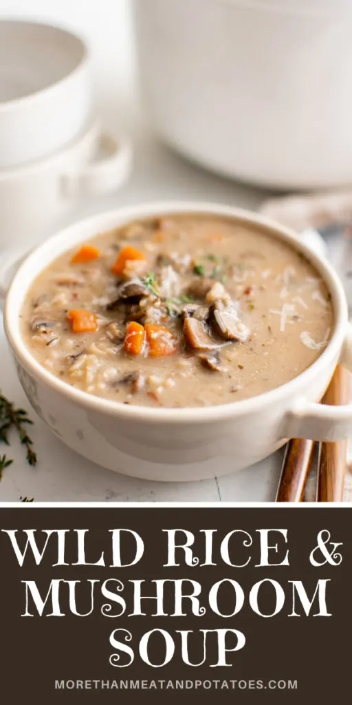 Wild rice and mushroom soup in a white dish.