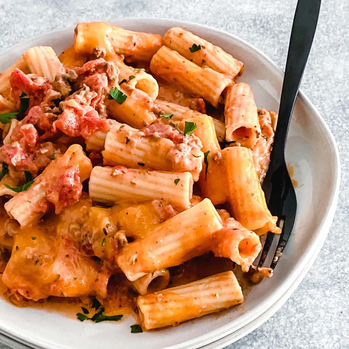 Beef and tomato ground beef casserole on a plate.