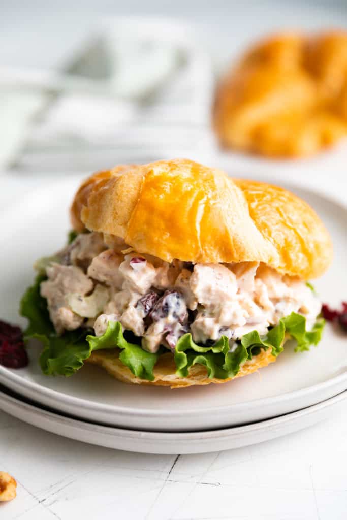 Chicken salad sandwich with cranberries on a plate.