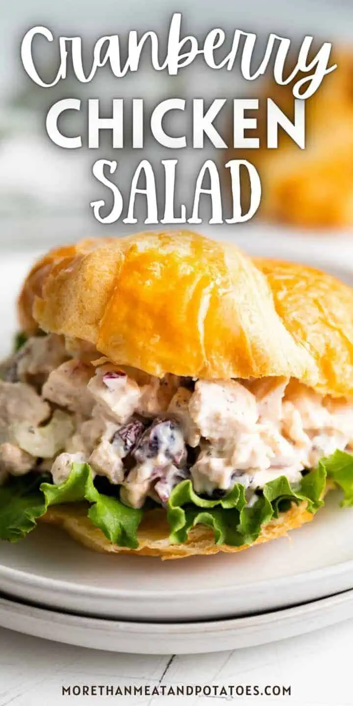 Close up view of a cranberry chicken salad sandwich.