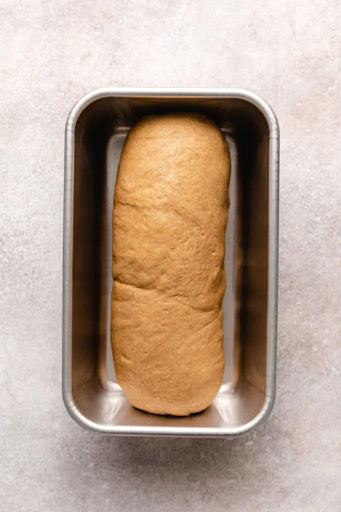 Dough placed in a loaf pan.