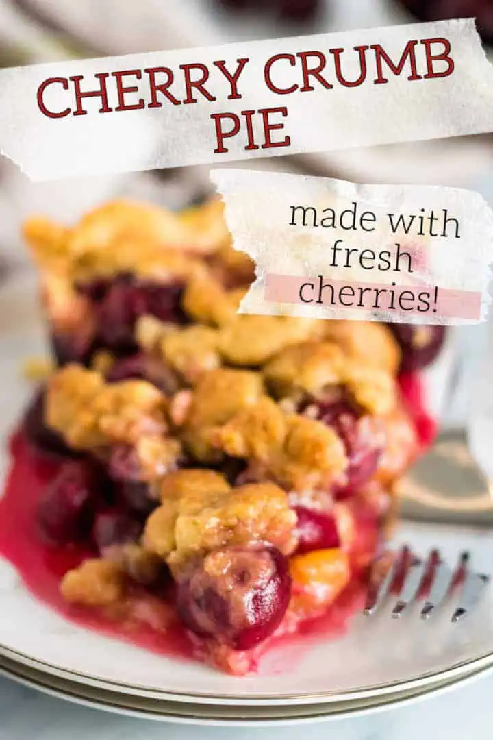 Close up photo of a slice of cherry crumb pie.