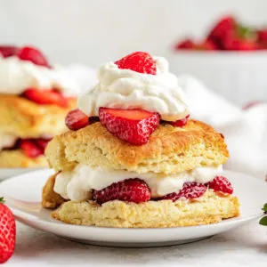 Strawberry shortcake on a small plate.
