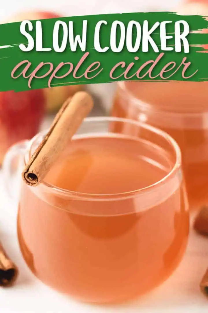 Close up view of a cinnamon stick on a glass of cider.