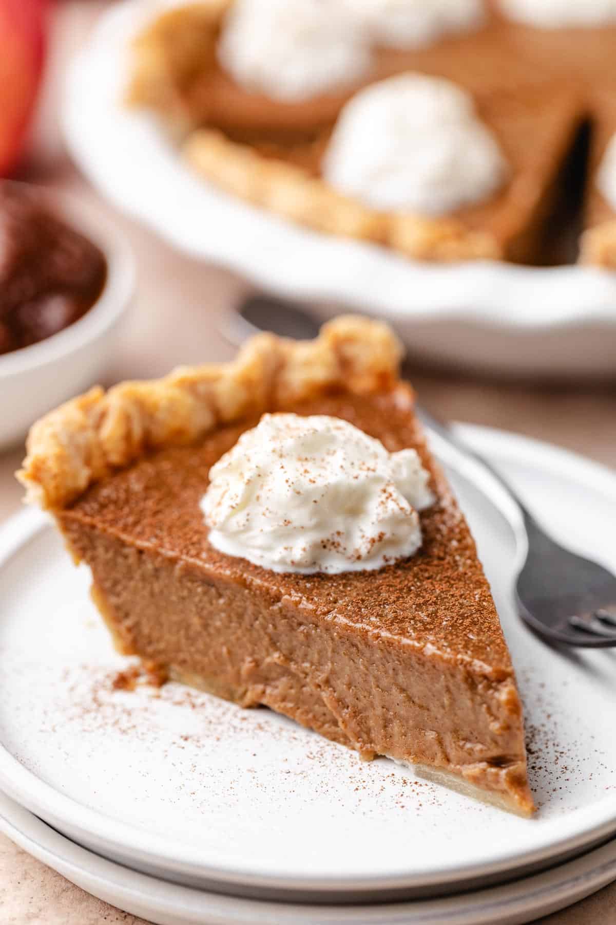 Whipped cream and cinnamon on top of a slice of pie.