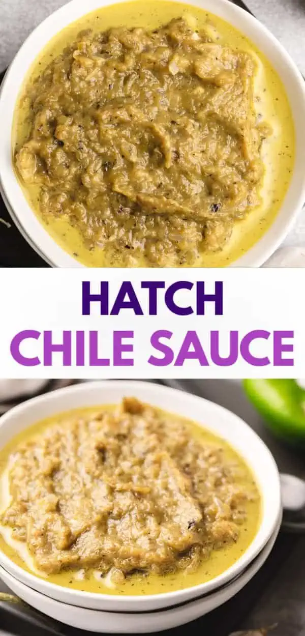 Delicious hatch chile sauce served in a bowl.