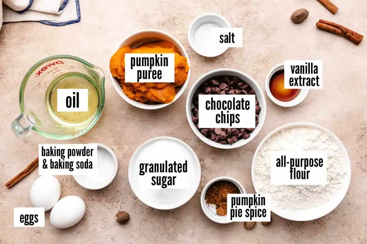 Overhead view of labeled ingredients for pumpkin chocolate chip muffins including oil, pumpkin puree, chocolate chips, vanilla extract, all-purpose flour, granulated sugar, eggs, baking powder, baking soda, cinnamon, nutmeg, and salt.