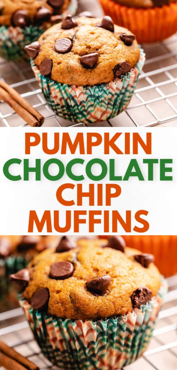 Pumpkin chocolate chip muffins recipe, perfect for fall baking, featuring moist homemade muffins with chocolate chips and spiced pumpkin flavor.