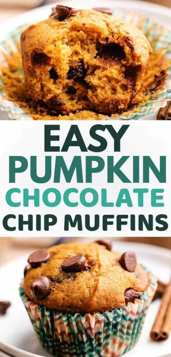 Easy pumpkin chocolate chip muffins recipe with a bite showcasing rich chocolate chips, ideal for fall baking and homemade pumpkin muffin recipes.