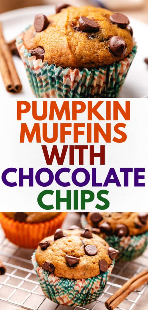 Pumpkin muffins with chocolate chips, a popular fall baking recipe, perfect for viral food boards and showcasing spiced pumpkin chocolate desserts.